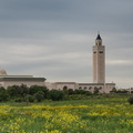 mosquée de Carthage