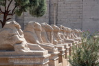 le temple de Karnak 