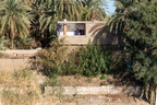 des maisons modernes le long du Nil
